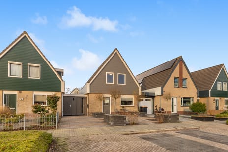 Europasingel thumbnail