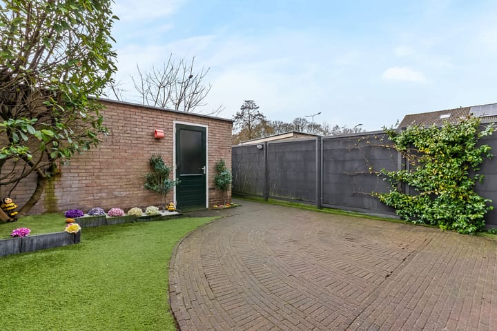 Foto 30 van Calvijnhof 6