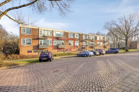 Berkenlaan thumbnail