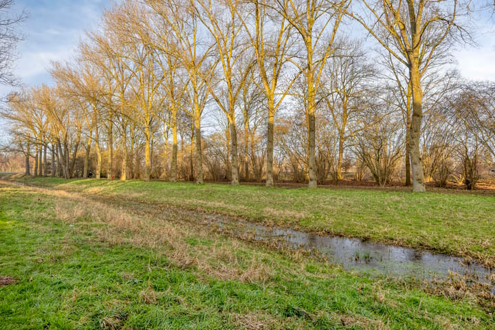 Foto 33 van Berkenlaan 231