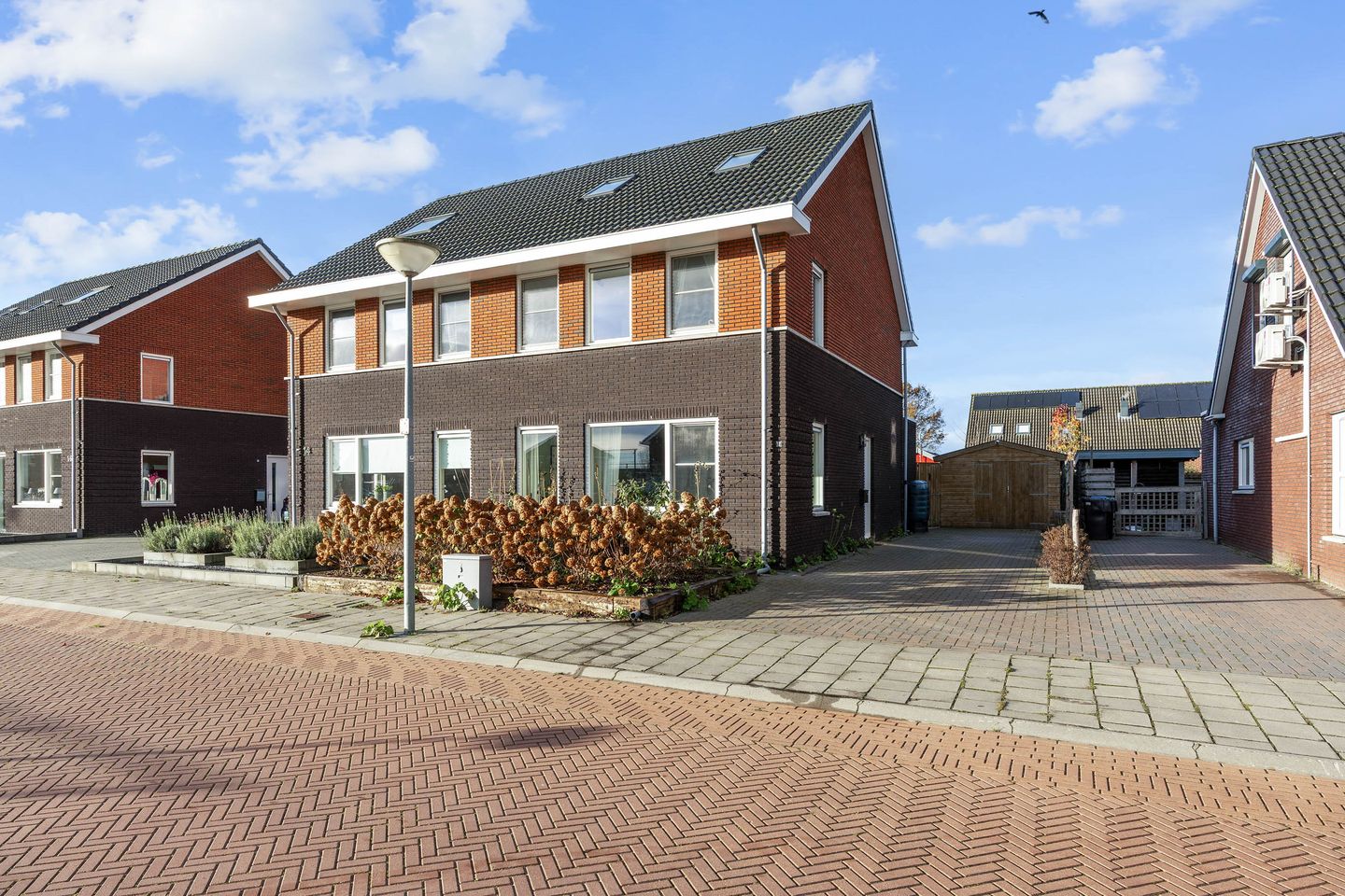 Foto 1 van Buizerd 12