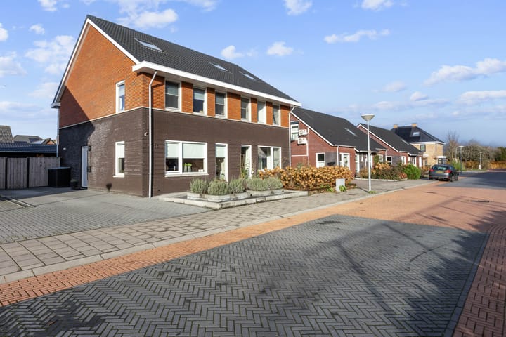 Foto 2 van Buizerd 12