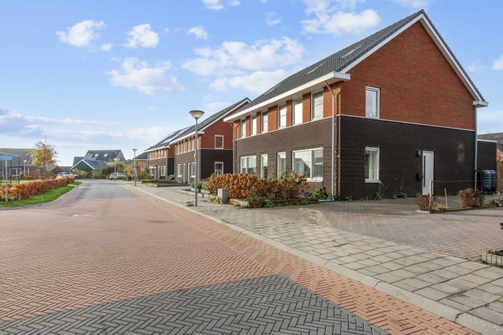 Foto 3 van Buizerd 12