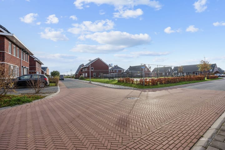 Foto 4 van Buizerd 12