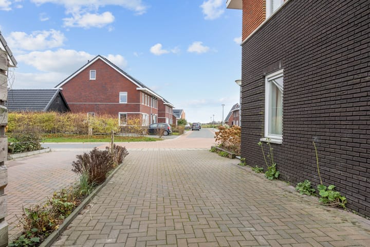 Foto 5 van Buizerd 12