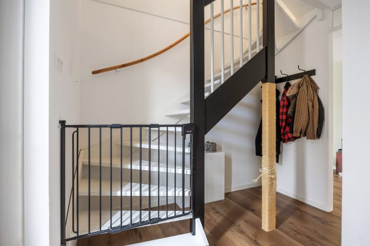 Foto 6 van Buizerd 12