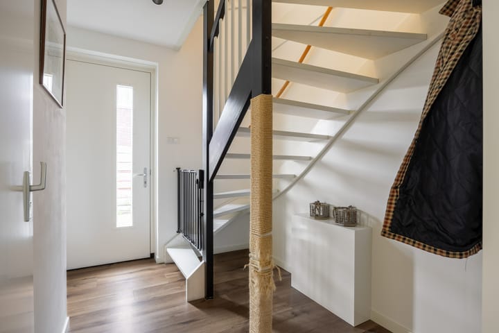 Foto 7 van Buizerd 12