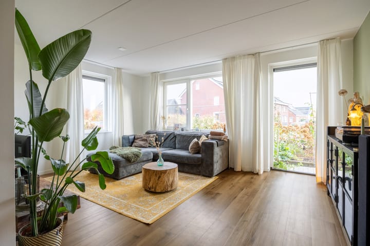 Foto 9 van Buizerd 12