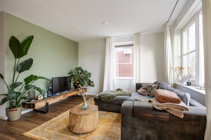 Foto 11 van Buizerd 12