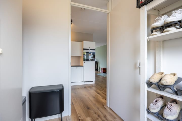 Foto 21 van Buizerd 12