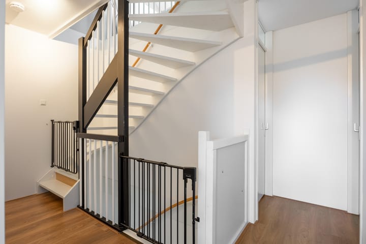 Foto 22 van Buizerd 12