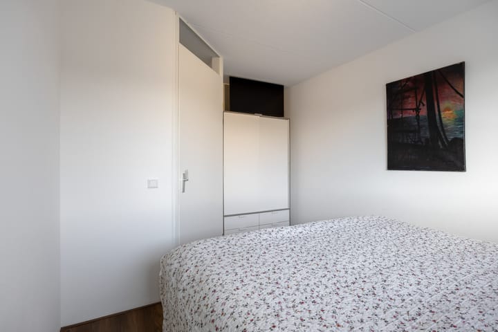 Foto 25 van Buizerd 12