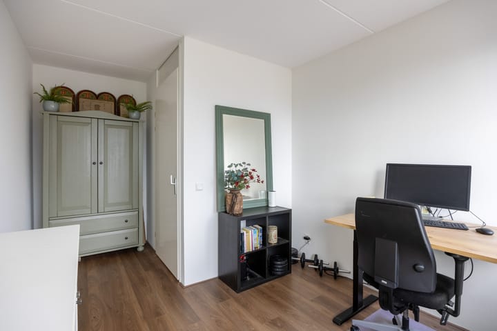 Foto 27 van Buizerd 12