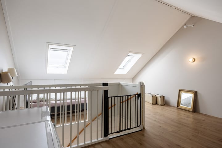 Foto 33 van Buizerd 12