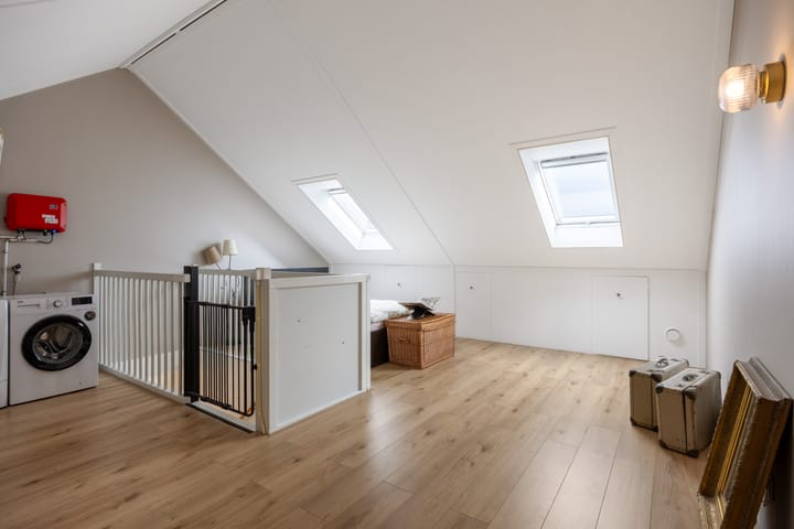 Foto 34 van Buizerd 12