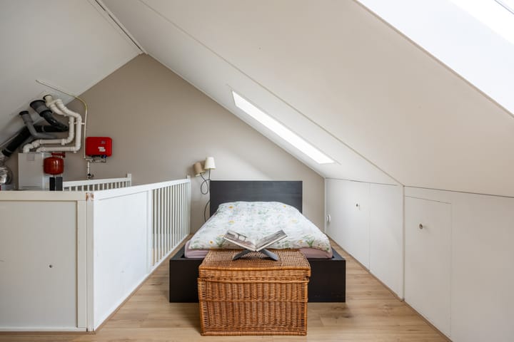 Foto 35 van Buizerd 12