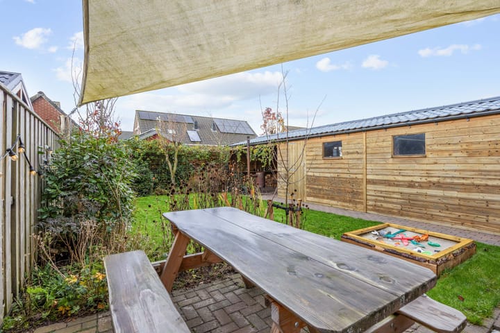 Foto 36 van Buizerd 12