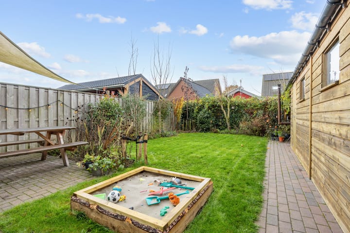 Foto 37 van Buizerd 12