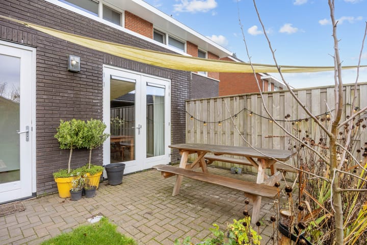 Foto 40 van Buizerd 12