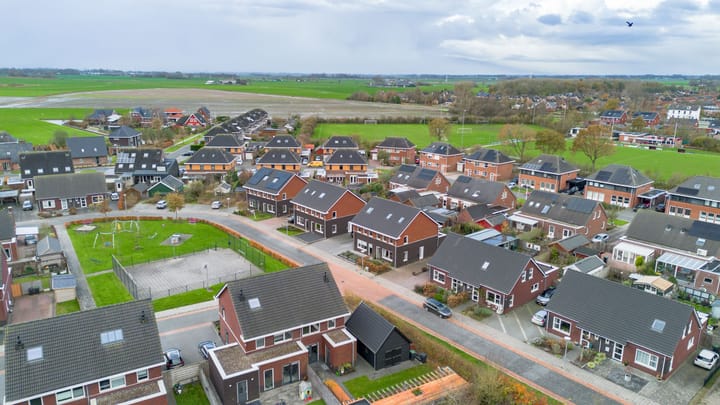 Foto 41 van Buizerd 12