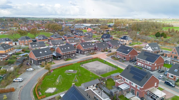 Foto 42 van Buizerd 12