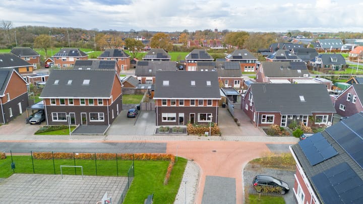 Foto 43 van Buizerd 12