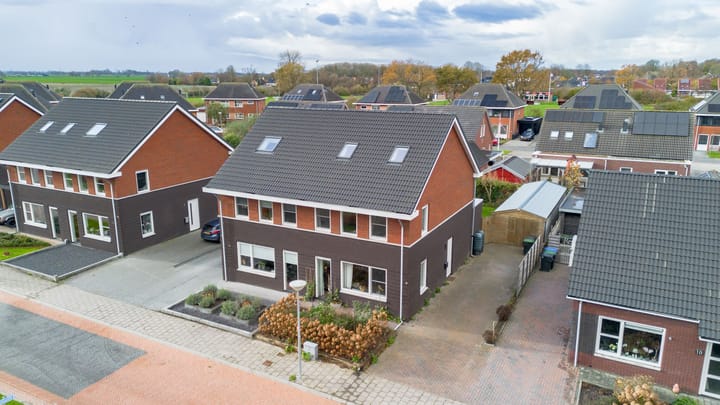 Foto 44 van Buizerd 12