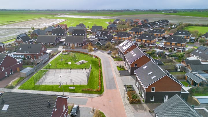 Foto 45 van Buizerd 12