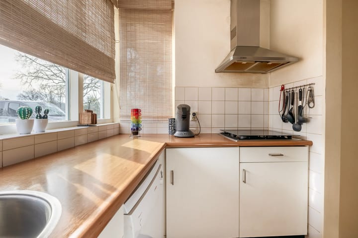 Foto 13 van Dieze 56