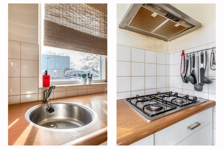 Foto 14 van Dieze 56