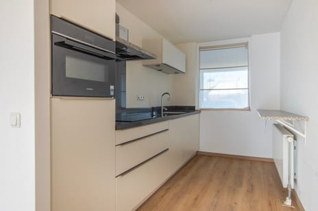 Schapenweide 6 tertiary image