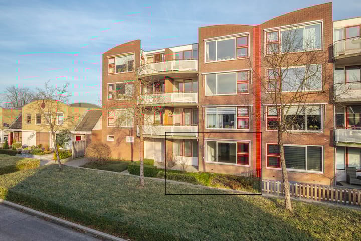 Foto 6 van Schapenweide 6