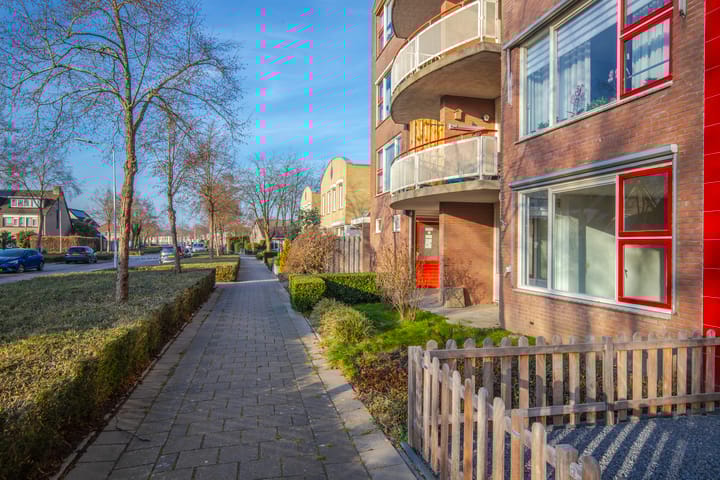 Foto 8 van Schapenweide 6