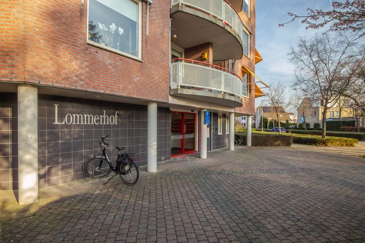 Foto 9 van Schapenweide 6