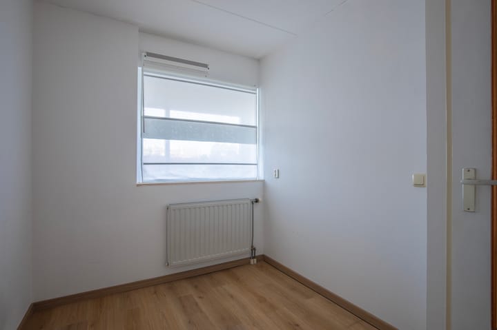 Foto 19 van Schapenweide 6