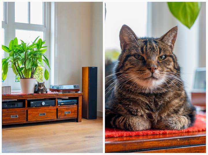 Foto 18 van Dorpsweg 19