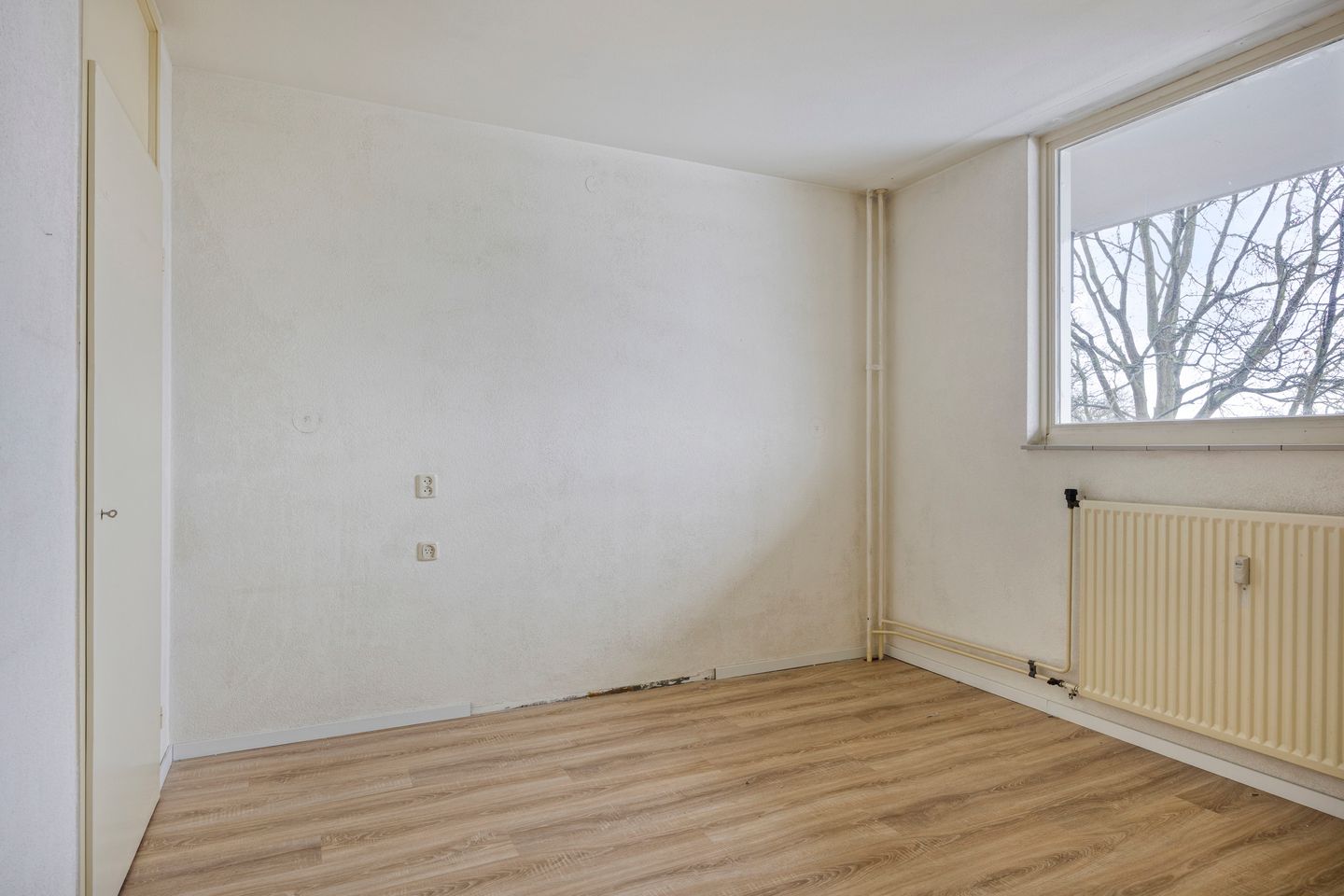 Photo 4 of Schapendries 58