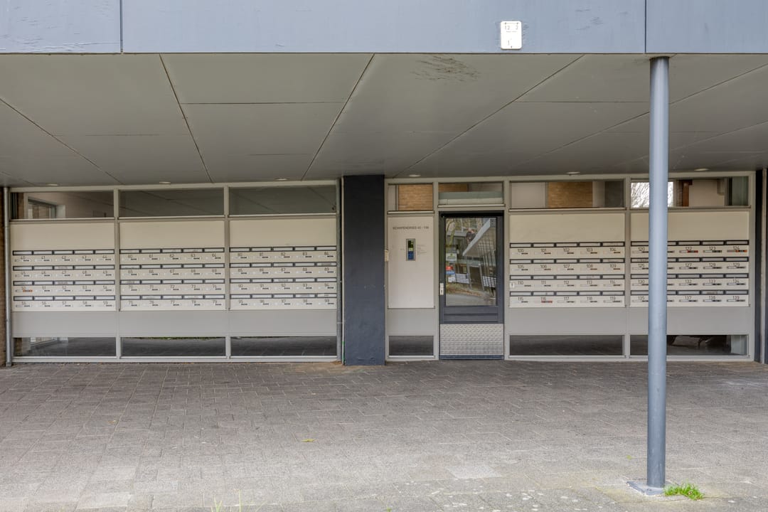 Photo 7 of Schapendries 58