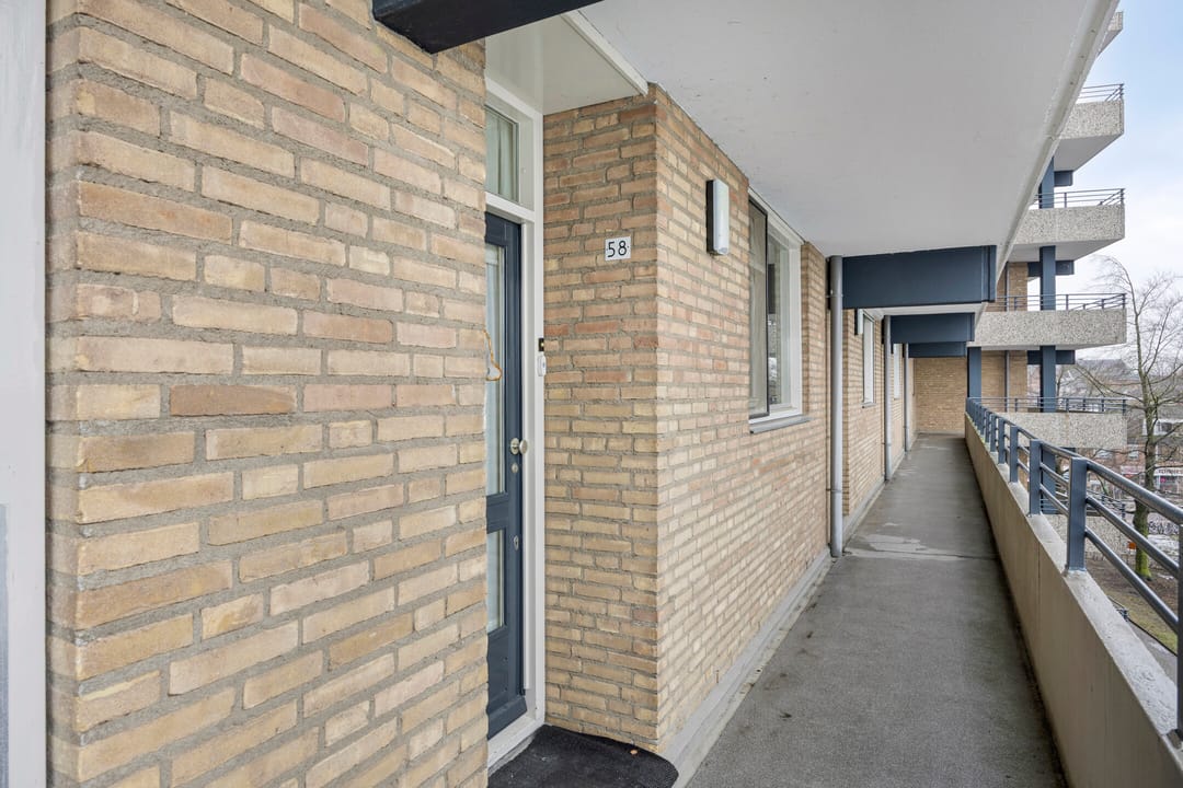 Photo 8 of Schapendries 58