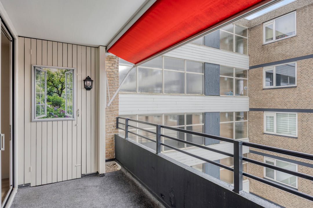 Photo 17 of Schapendries 58