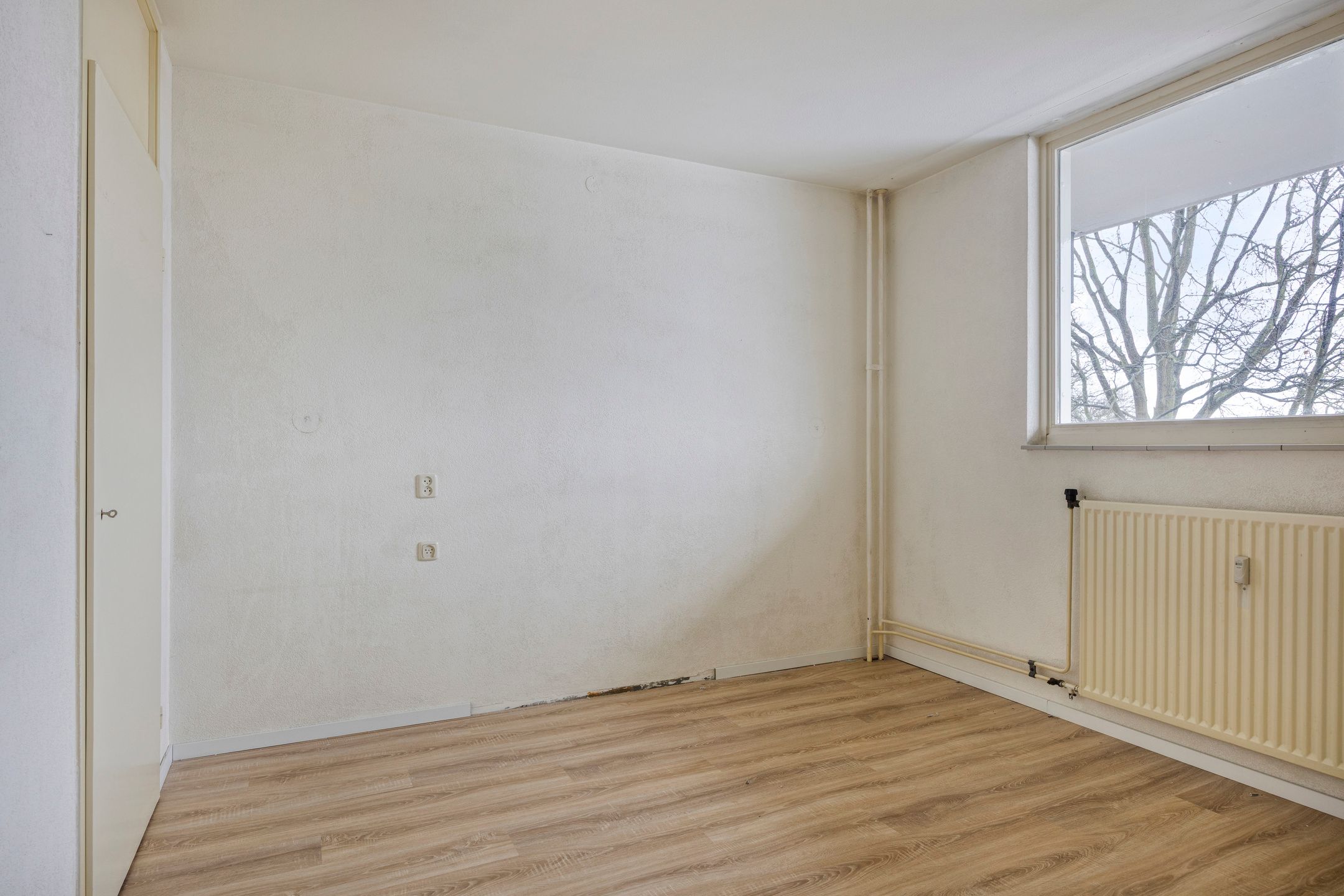 Photo 18 of Schapendries 58