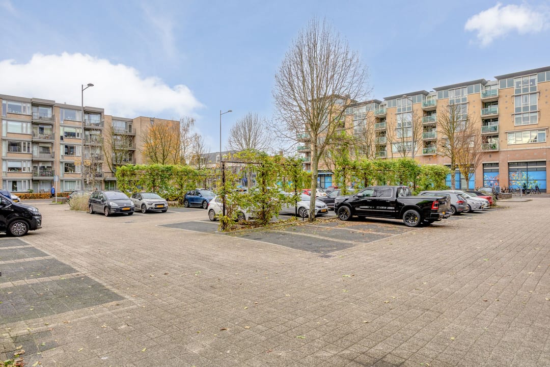 Photo 23 of Schapendries 58