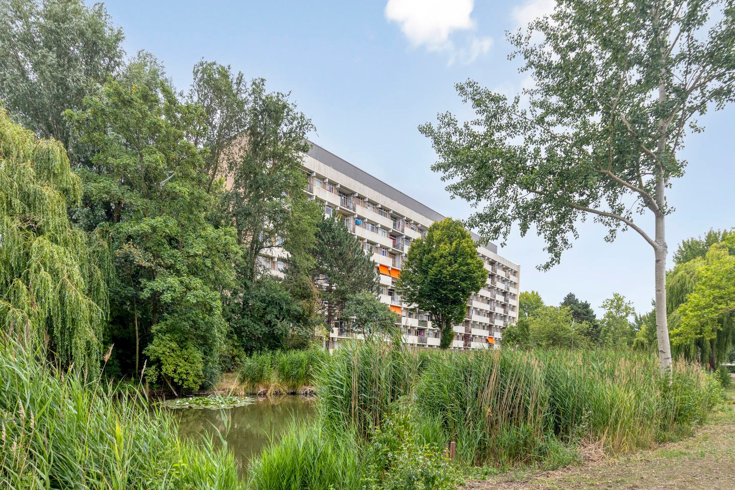 Foto 29 van Henry Dunantlaan 56