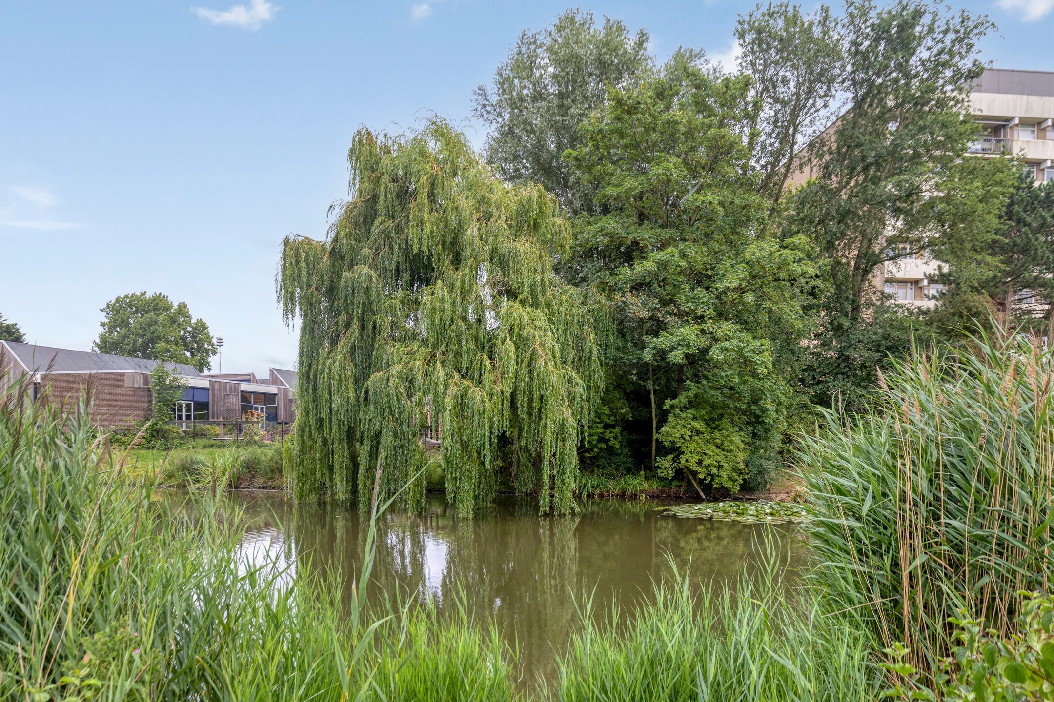 Foto 30 van Henry Dunantlaan 56