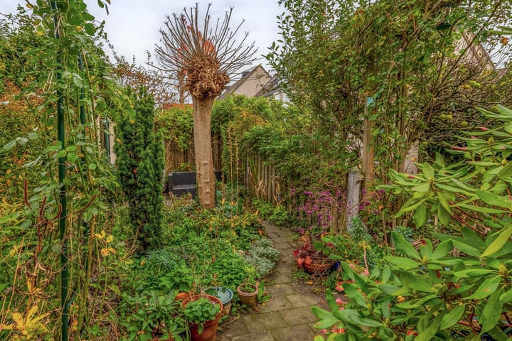 Foto 21 van Amazonestraat 17