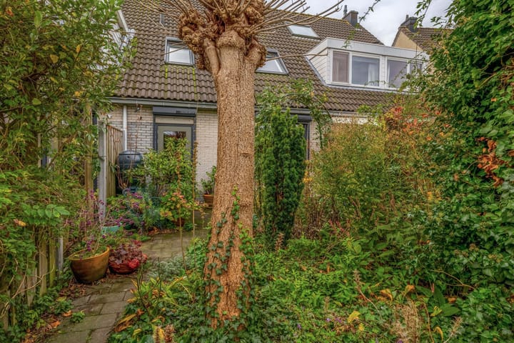 Foto 23 van Amazonestraat 17