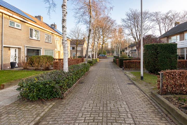 Foto 45 van Pieter Bruegellaan 8