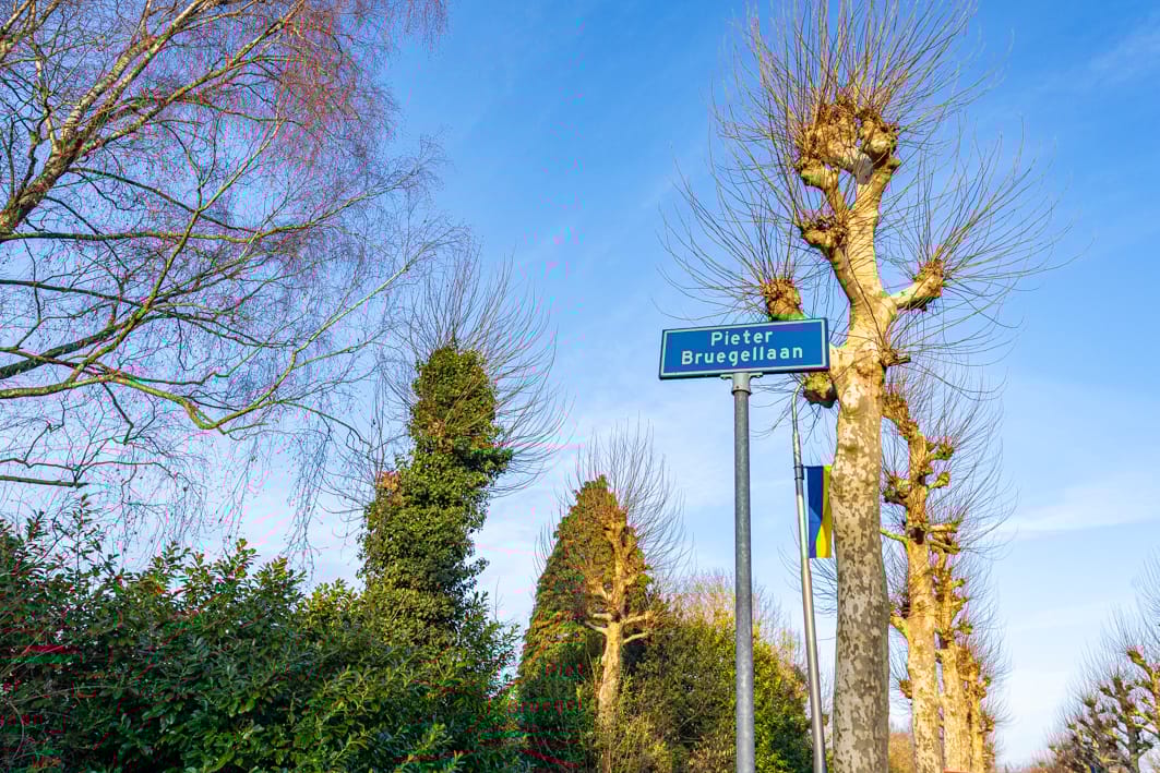 Foto 47 van Pieter Bruegellaan 8