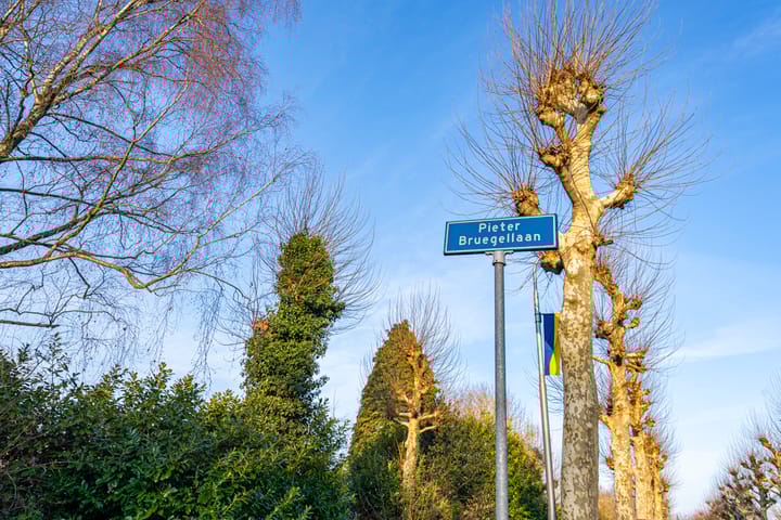 Foto 47 van Pieter Bruegellaan 8