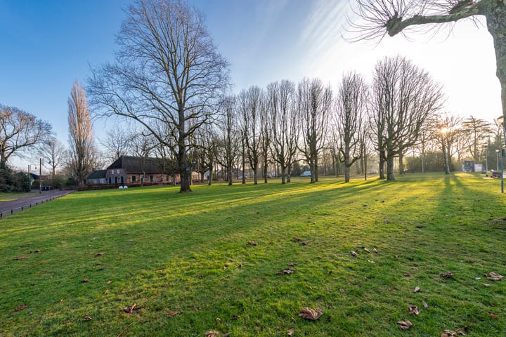 Foto 49 van Pieter Bruegellaan 8